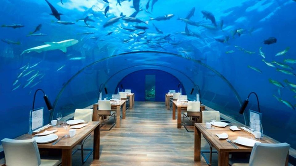 Ресторан опкружен со риби