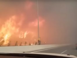 Грчките власти имаат сериозни податоци дека пожарот е подметнат, објаснето зошто евакуацијата не била можна