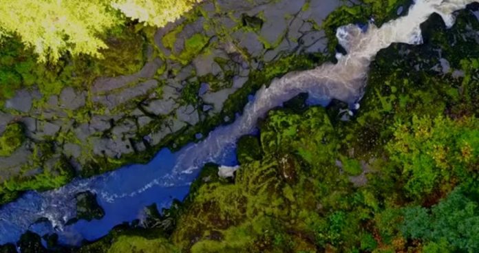 Најопасната река на светот изгледа како питомо поточе, од неа е скоро неверојатно да излезете живи