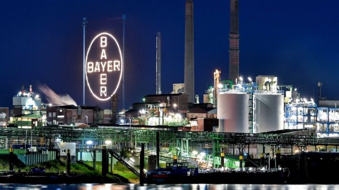 Пресудата против Monsanto ги повлече надолу акциите на Bayer