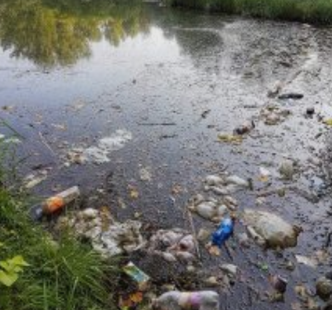 Има ли Скопје градоначалник: Градски парк се дави во ѓубре (Фото)