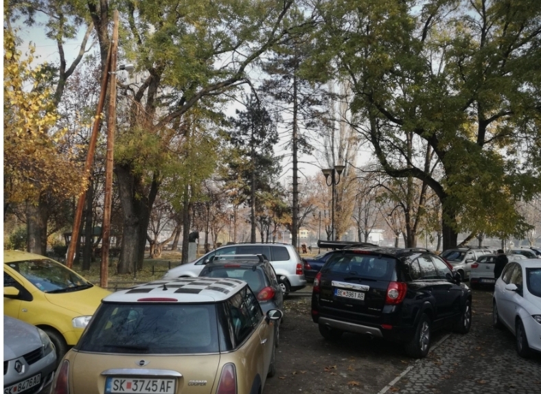 Во еден од најубавите паркови на Скопје, наместо дрвја растат коли (ФОТО)