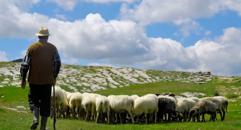 Протест на овчарите пред МЗШВ