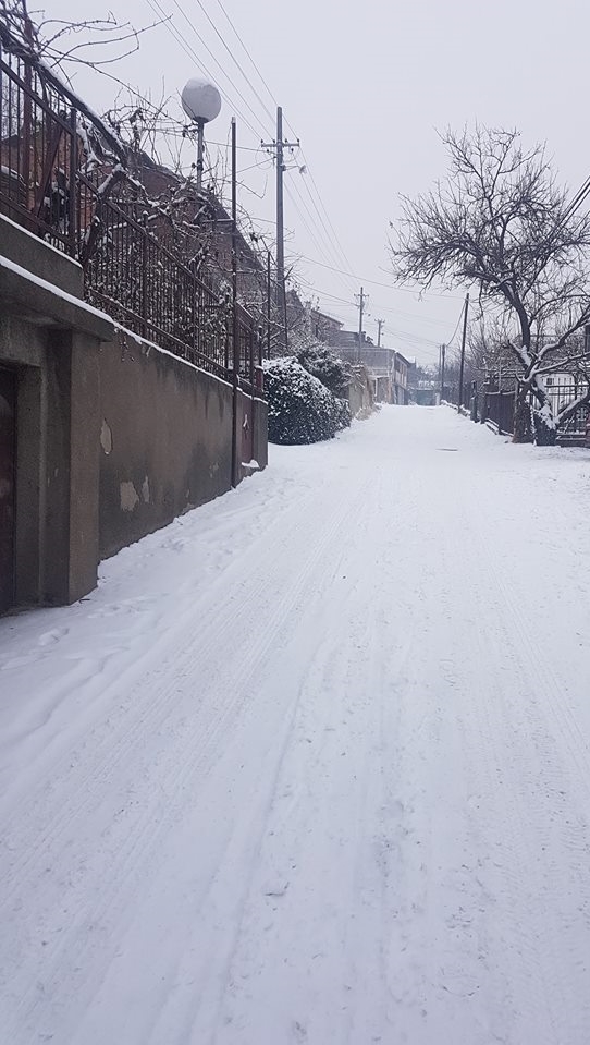 Населбите Нерези и Козле целосно заборавени од Стефан Богоев: Општината лажно ветува дека се чистат улиците во Карпош (ФОТО)