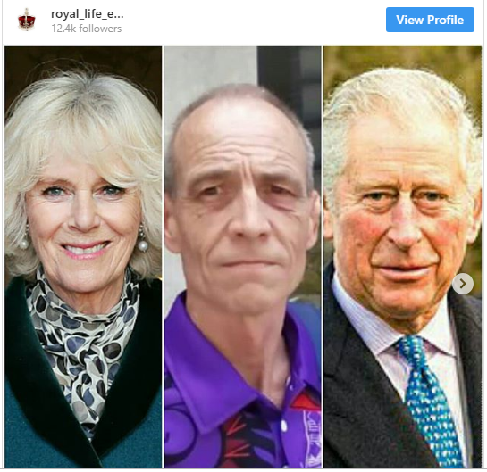 Нов скандал на кралскиот двор: Принцот Чарлс и Камила имаат заедничко дете?!