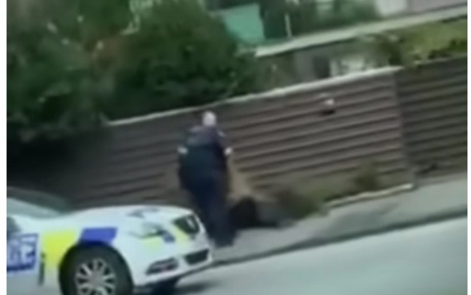 Вака е уапсен терористот од Крајстчерч: Сакал да бега со автомобил, но полицајците се залетаа во него и го запреа (ВИДЕО)