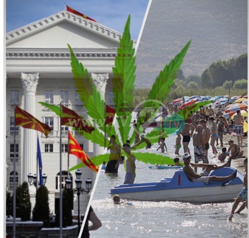 Владата ќе ја легализира марихуаната