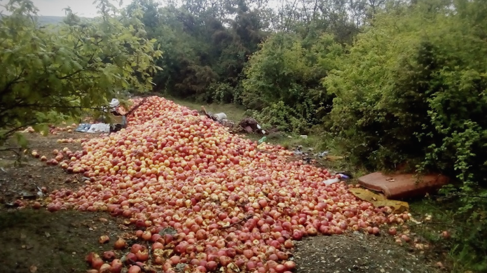 Земјоделието доживува крах- Земјоделците го фрлаат својот род бидејќи нема откуп