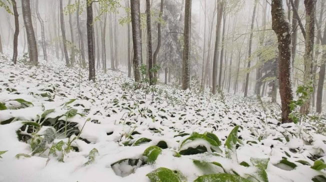 Снегот доаѓа кон Македонија: Хрватска утрово наликува на вистинска зимска идила- УХМР со најава за пресврт во времето и кај нас (ФОТО)