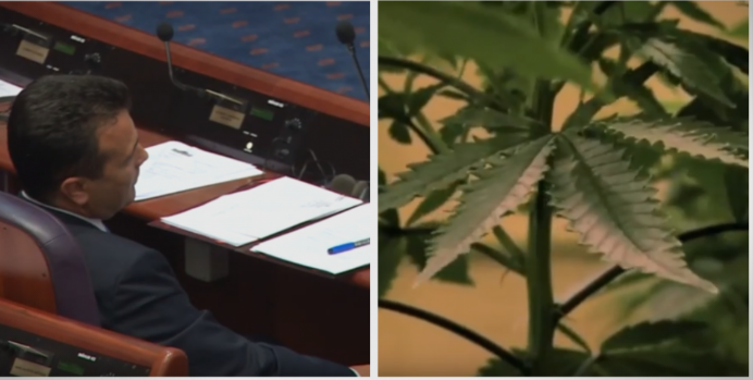 Заев уценува избори со Законот за опојни дроги, ВМРО-ДПМНЕ нема да го прифати по ниедна цена