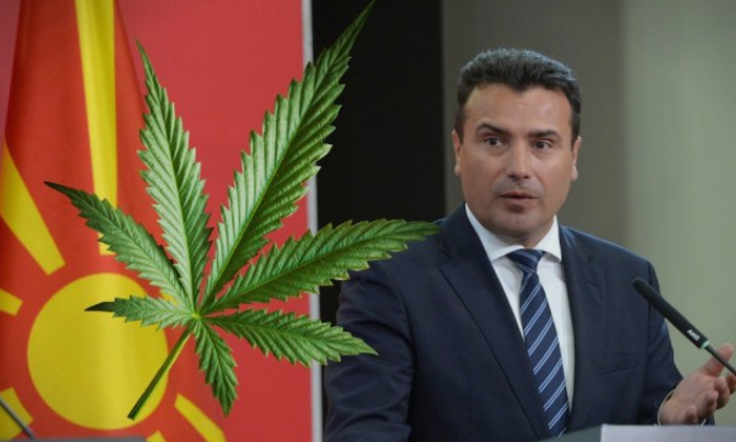 Заев доделил лиценца за канабис на идниот зет