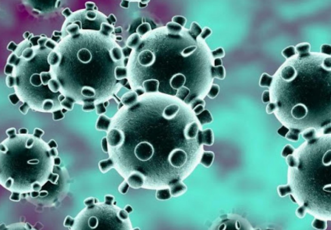 АЛАРМАНТНИ БРОЈКИ: За една недела 2.243 нови случаи на коронавирус – зголемување од 86,5 проценти на новозаболени
