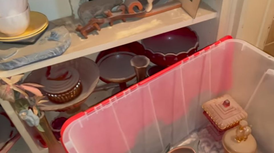 Купи куќа полна со ѓубре и прашина, па пронајде огромно богатство (ВИДЕО)