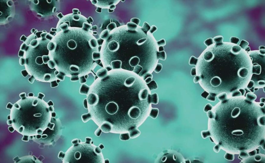 Голем број луѓе се имуни на коронавирусот, еве што вели СЗО на тоа