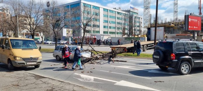 ФОТО: Дрво падна врз возило во движење во центарот на Скопје