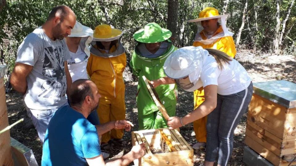 Повик за бесплатна обука на пчелари-почетници од Североисточниот регион