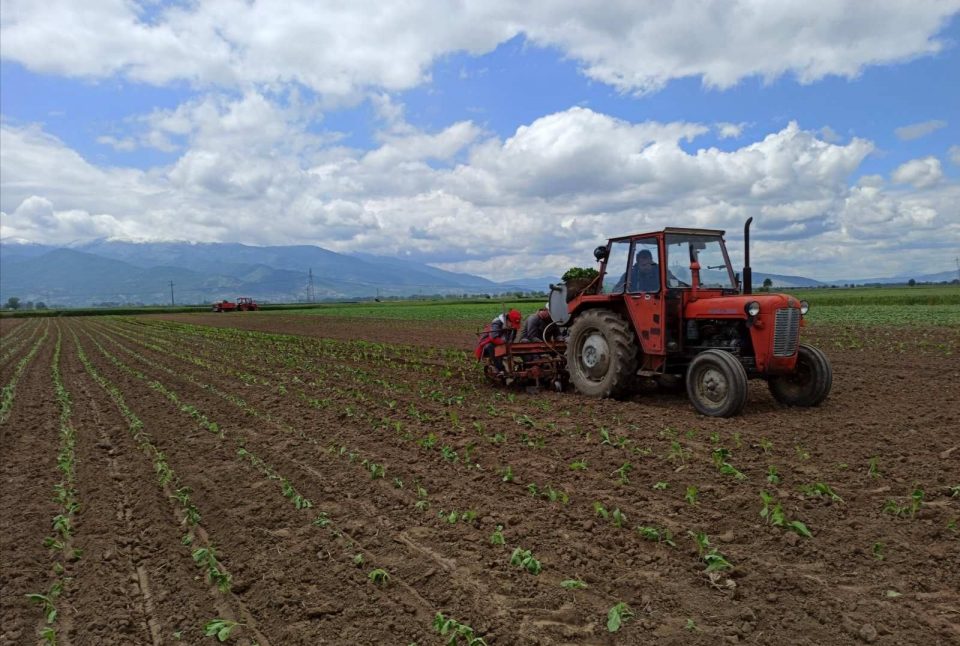 АНАЛИЗА: Милионски тужби, ненаплатени даноци, неоправдани вработување – ревизорски наоди за Карпош и Бутел!