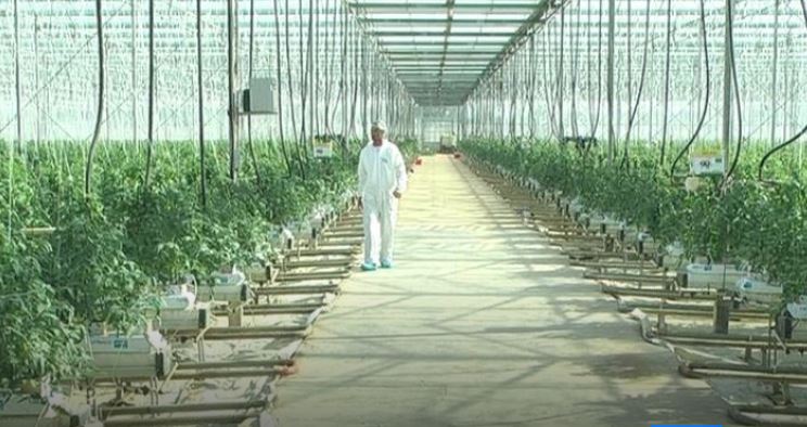 Одложено јавното наддавање за имотот на фирмата ДЕНА, за кое алармираше и австрискиот амбасадор