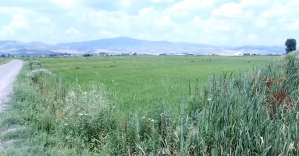 Македонија ќе се соочи со дефицит на храна ако земјоделците не добијат помош