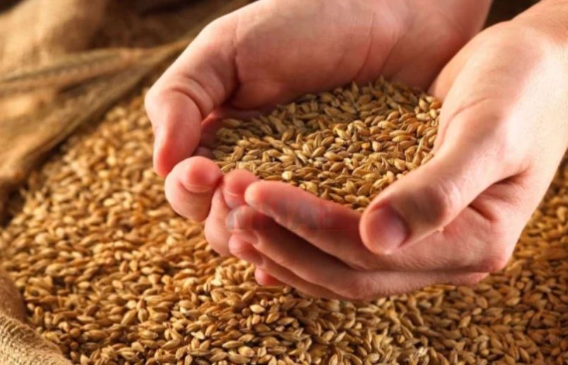 Средба на претставниците на Романија, ЕУ, САД и Молдавија за алтернативни рути за транспорт на украинско жито