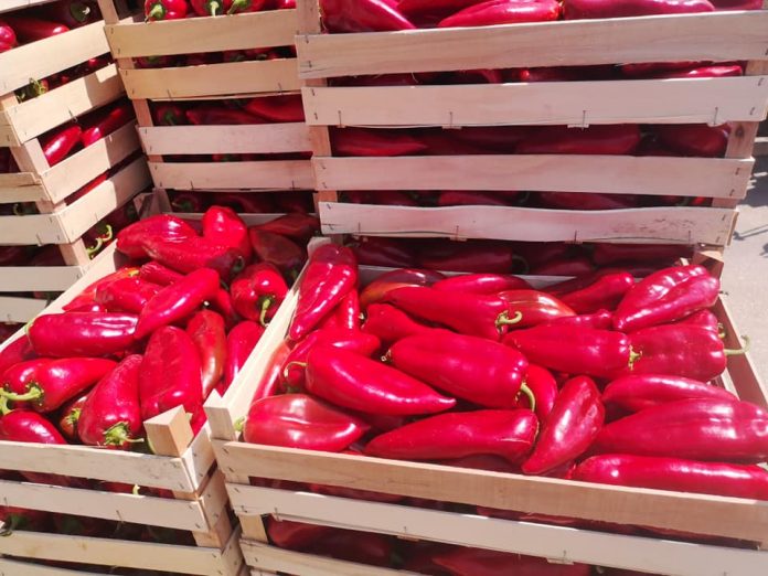 Како е можно во земјата на пиперките да се продаваат пиперки за 170 денари?