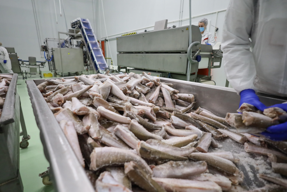 Скопска фирма сврте 20 милиони евра од продажба на замрзнати риби и пилешко