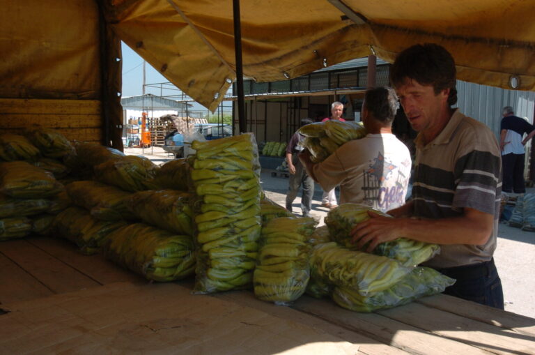 Преструктурирање на аграрот и земјоделска стратегија што ќе одговори на новите околности