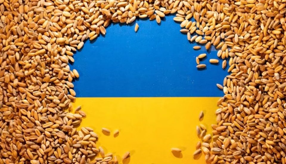 Забраните за увоз на украинско жито разоткриваат поделби во ЕУ
