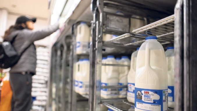 Во Данска се гради најголемата фабрика за вештачко млеко