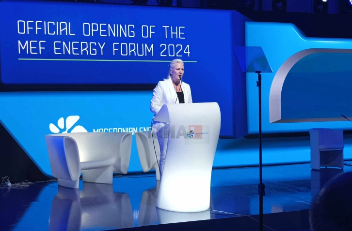 Агелер: Енергетската сигурност и зелената енергија се приоритите што треба да ги надминат партиските политики