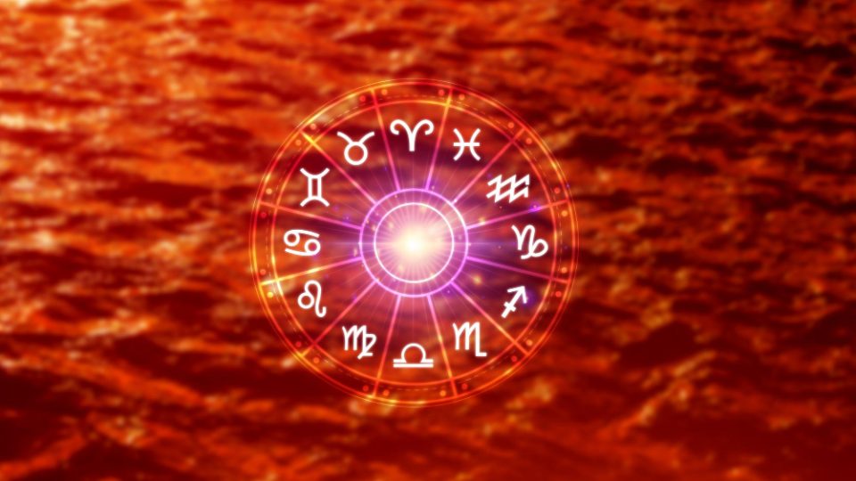 Лавот ќе се расправа, Бикот да не озборува