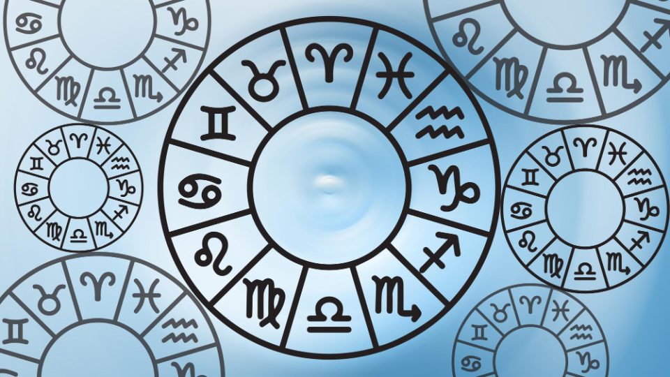 Бикот да одвои време за она што го сака, Рибите да не губат контакт со реалноста