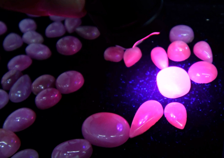 Македонскиот рубин влегува во нова фаза на заштита, сертификација и промоција
